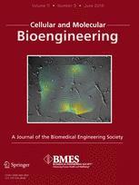 Cellular and Molecular Bioengineering journal cover