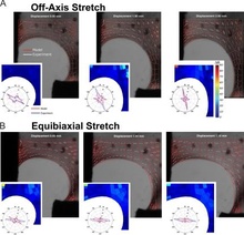 sample figure