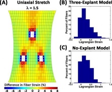 sample figure