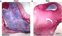 sample figure