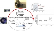 sample figure