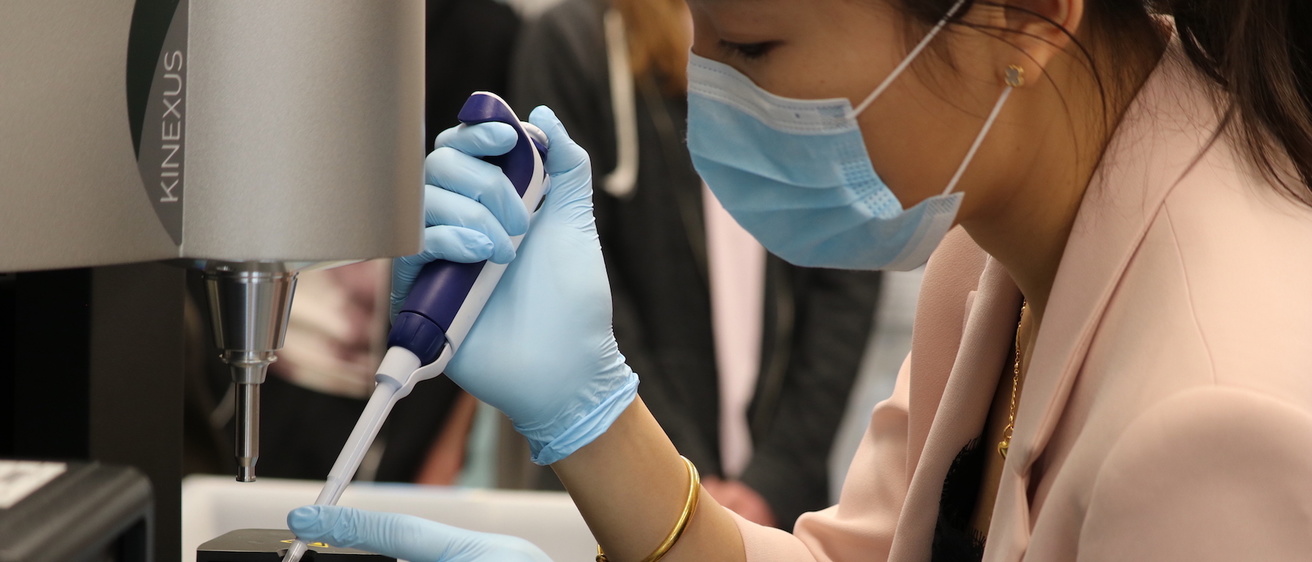 Researcher working in the lab