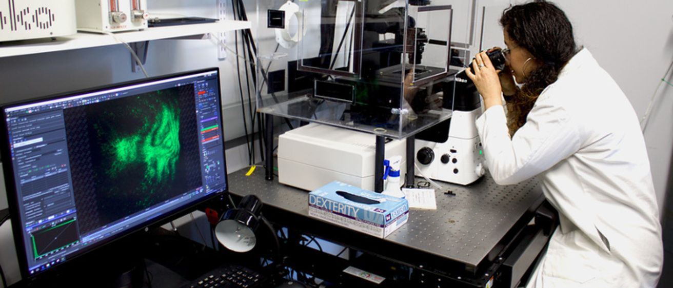 Mariam El-Hattab works in the lab